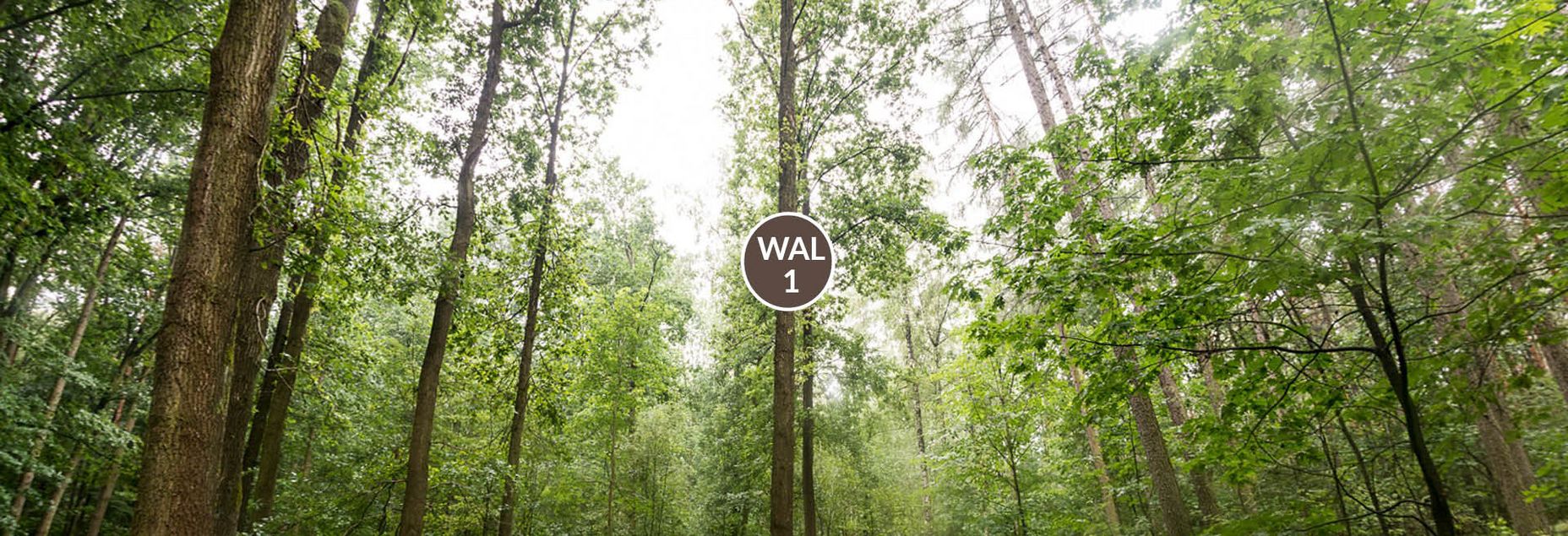 FriedWald-Onlineshop WAL 1