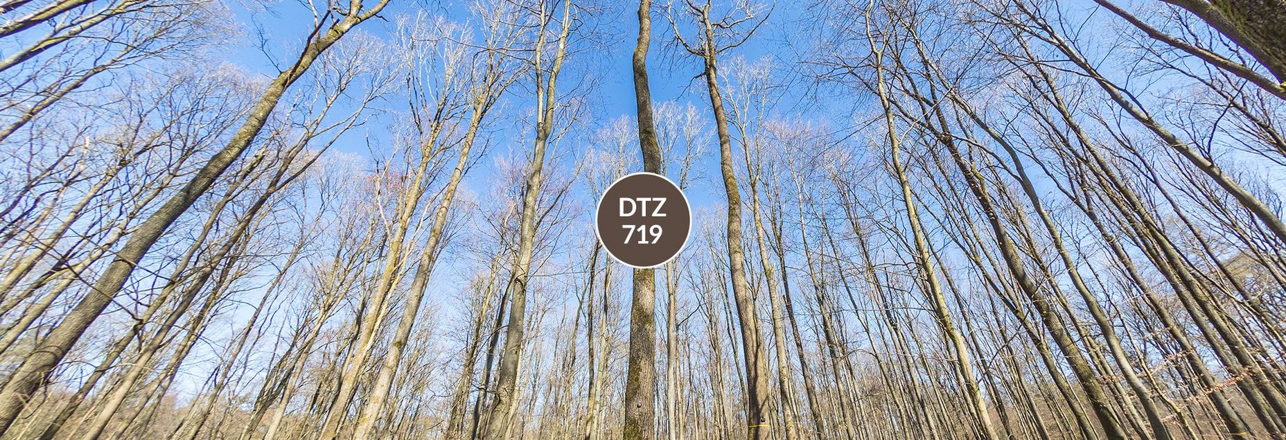DTZ 719 - Baum