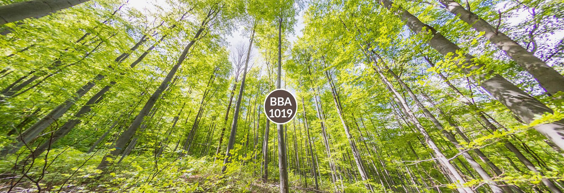 Baum BBA 1019 - Fisheyeperspektive