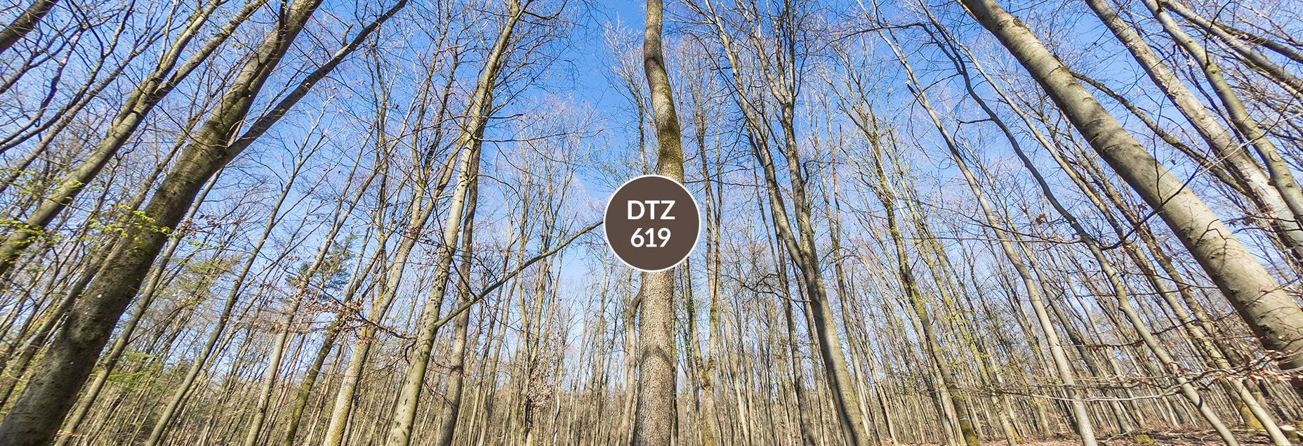 DTZ 619 - Baum