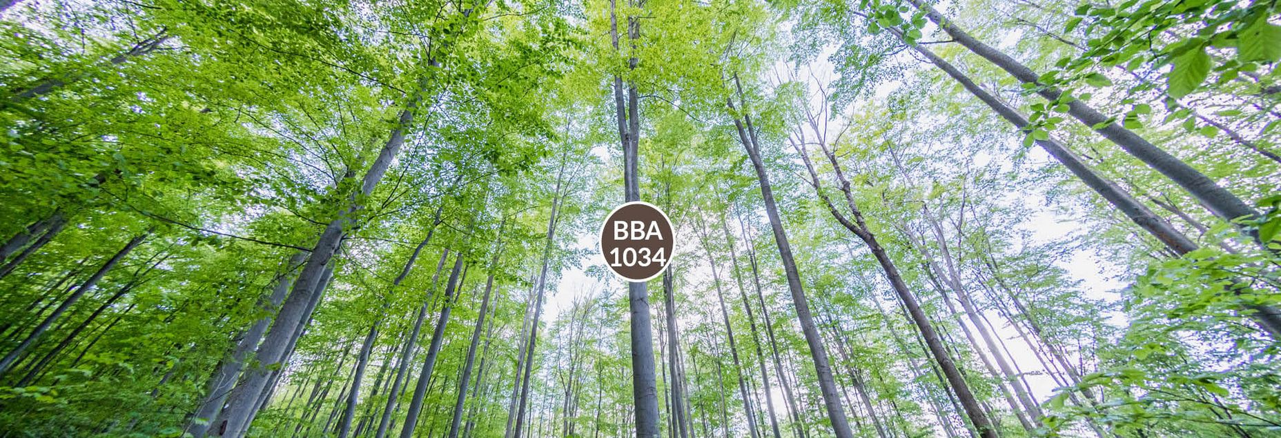 Baum BBA 1034 - Fisheyeperspektive
