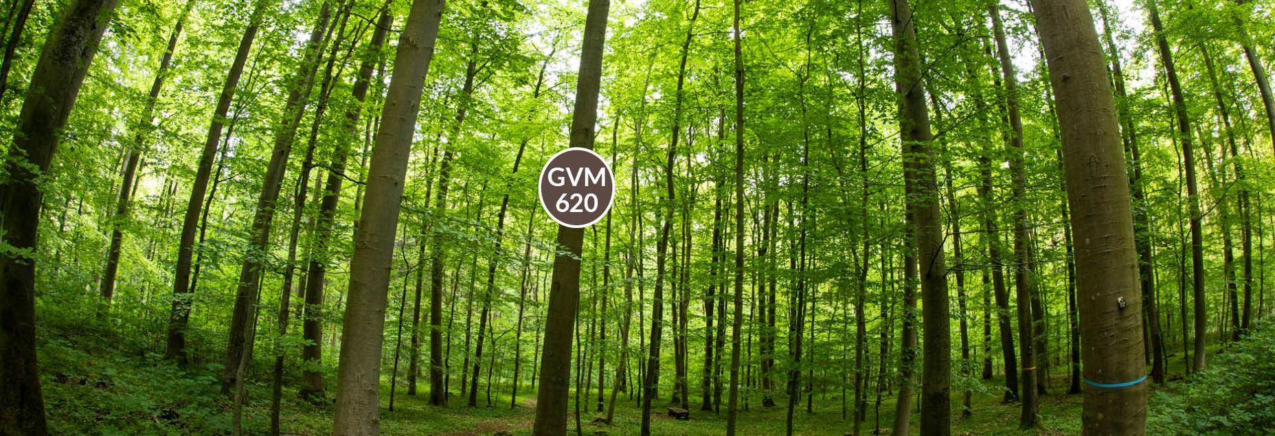 Baum GVM 620 - Fisheyeperspektive
