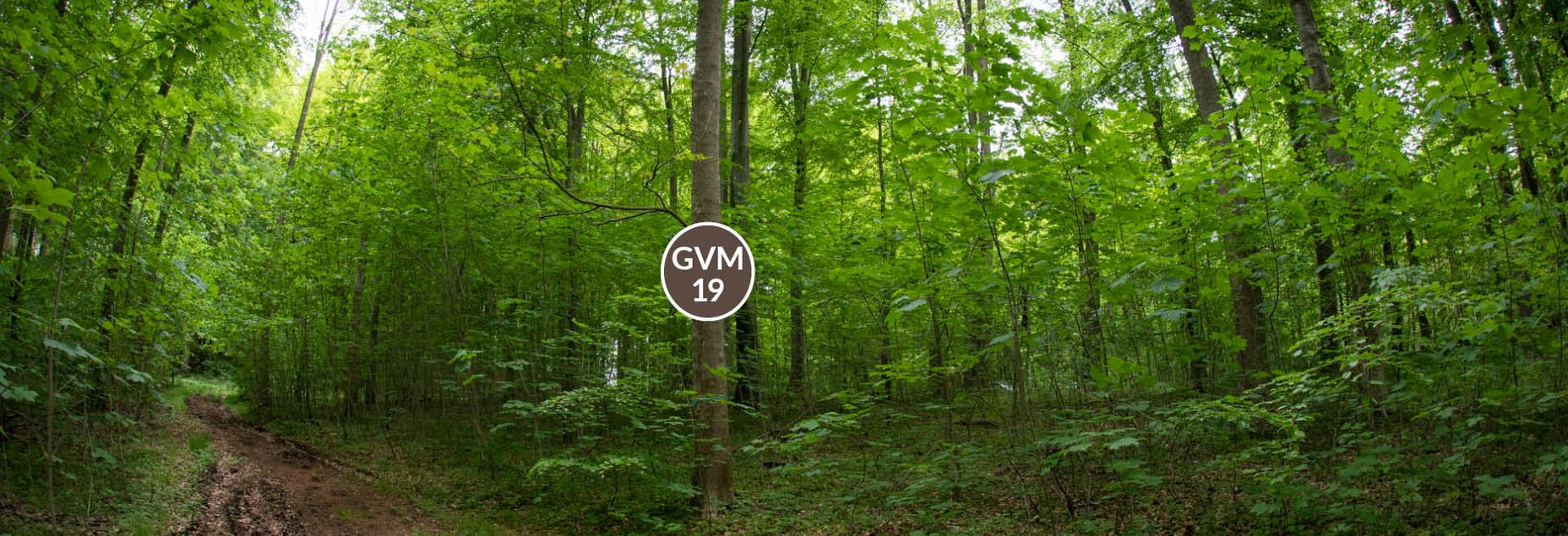 Baum GVM 19 - Fisheyeperspektive