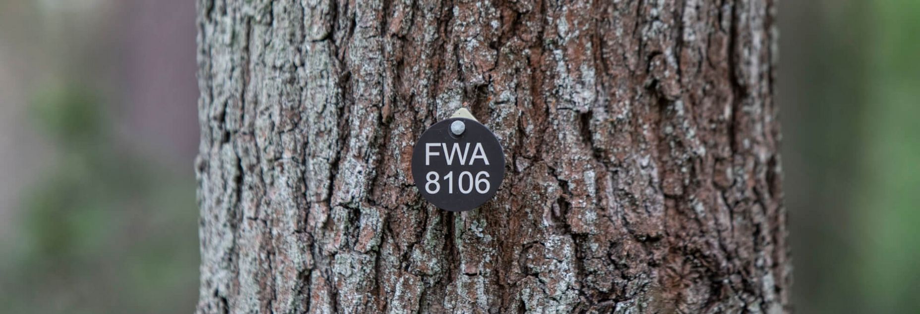 FriedWald-Onlineshop FWA 8106