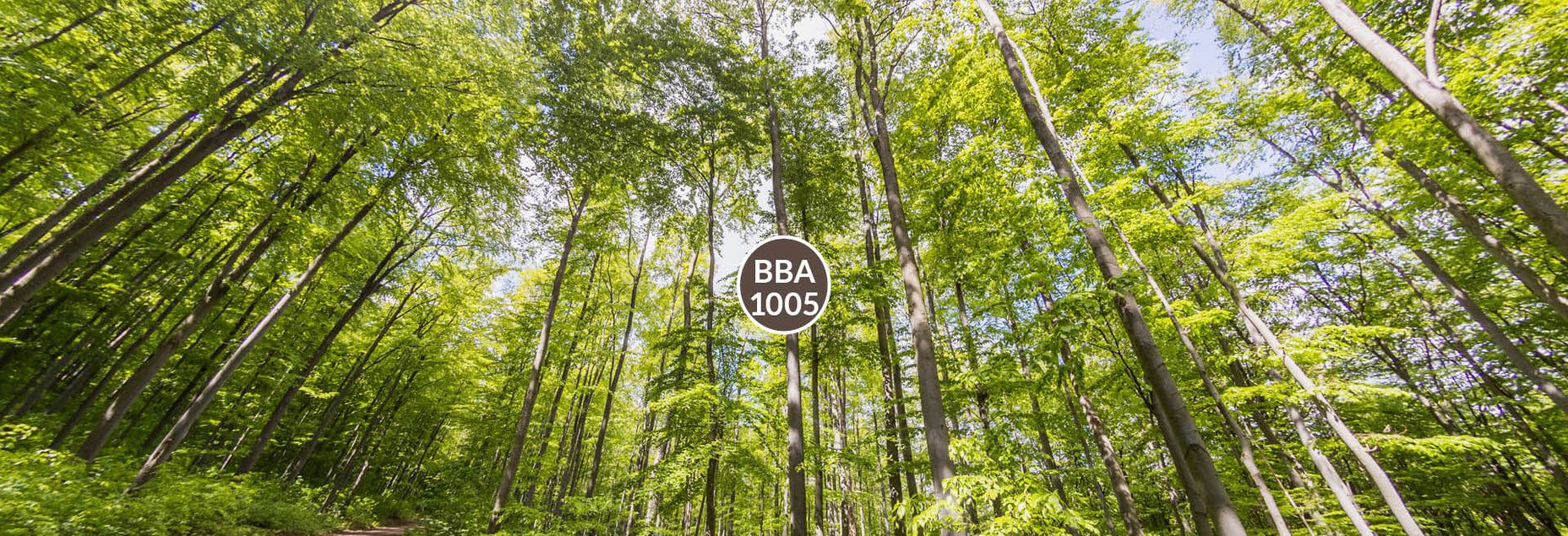 Baum BBA 1005 - Fisheyeperspektive