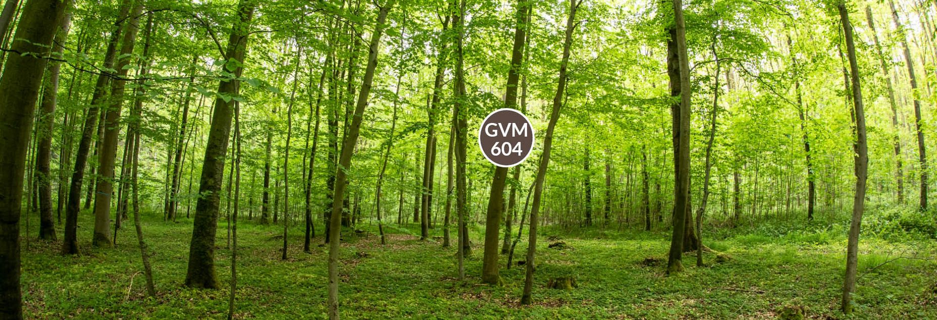 Baum GVM 604 - Fisheyeperspektive