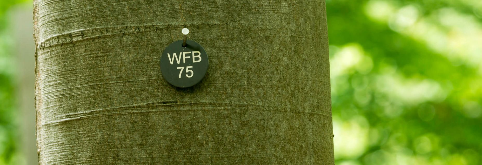 FriedWald-Onlineshop WFB 75