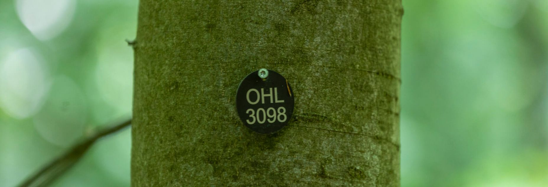 FriedWald-Onlineshop OHL 3098