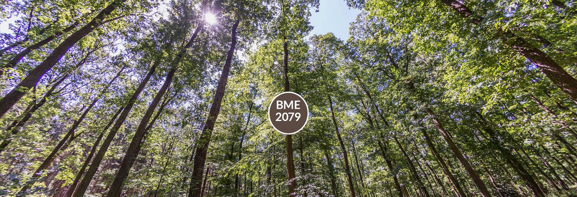 Baum BME 2079 - Fisheyeperspektive