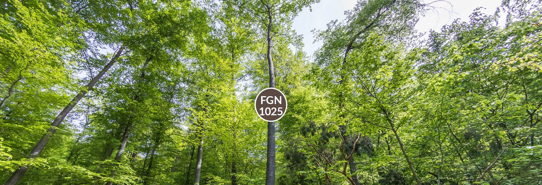 Baum FGN 1025 - Fisheyeperspektive