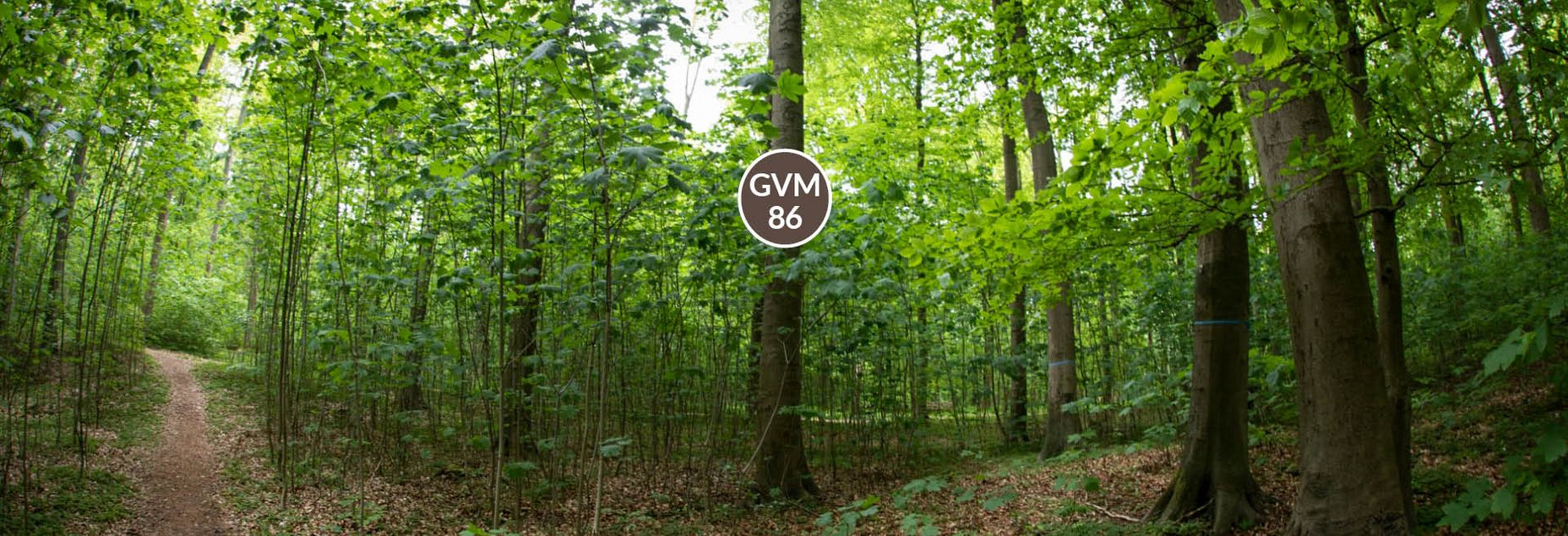 Baum GVM 86 - Fisheyeperspektive