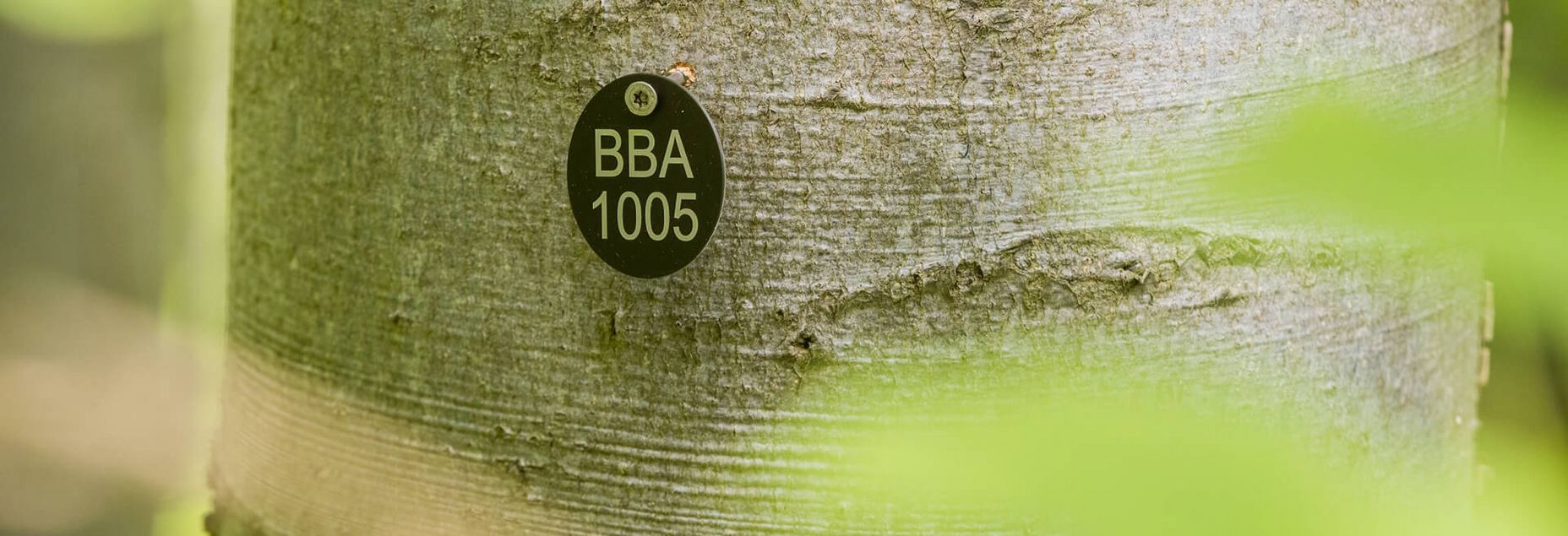 Baum BBA 1005 - Plakette