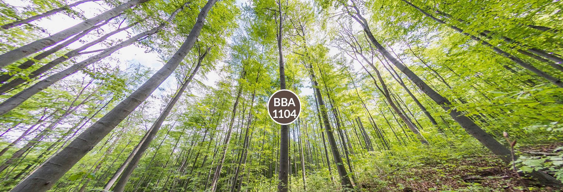 Baum BBA 1104 - Fisheyeperspektive