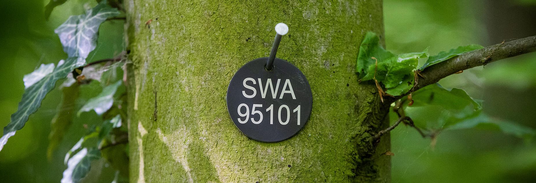 FriedWald-Onlineshop SWA 95101