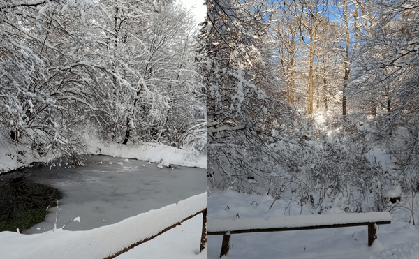 Schneezauber im FriedWald Wildenburger Land