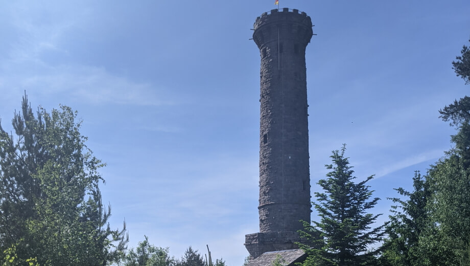 Der Turm auf der "Badener Höhe" in der Nähe zum FriedWald.