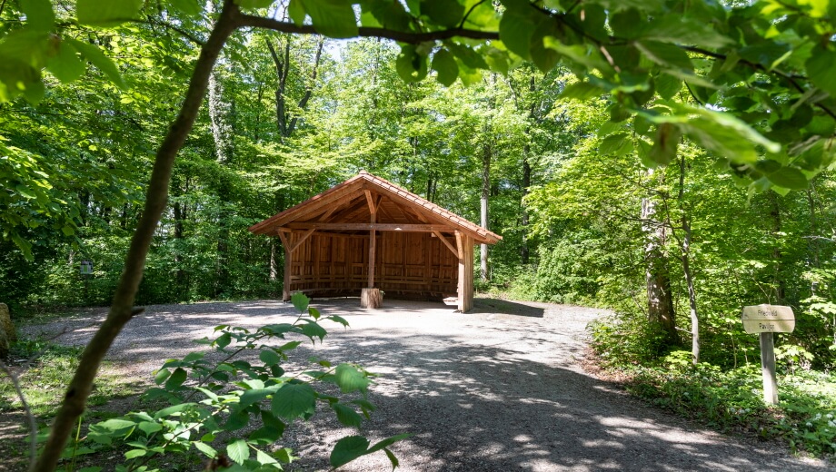 Ein überdachter Holzpavillon im FriedWald Burg Plesse bietet Schutz bei unbeständigem Wetter.
