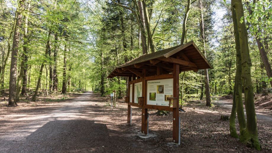 Am Eingang zum FriedWald informiert eine Tafel über das Konzept und den Wald.