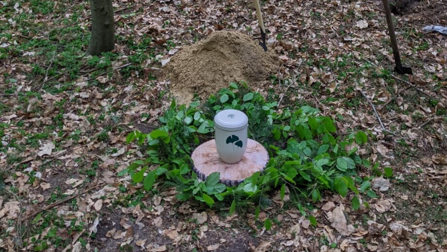 Ein Mustergrab im FriedWald Cloppenburg - das Grab wird mit natürlichen Materialien geschmückt.