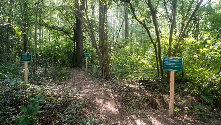 Ein Infopfad im Wald erläutert das FriedWald-Konzept für interessierte Waldbesucher.