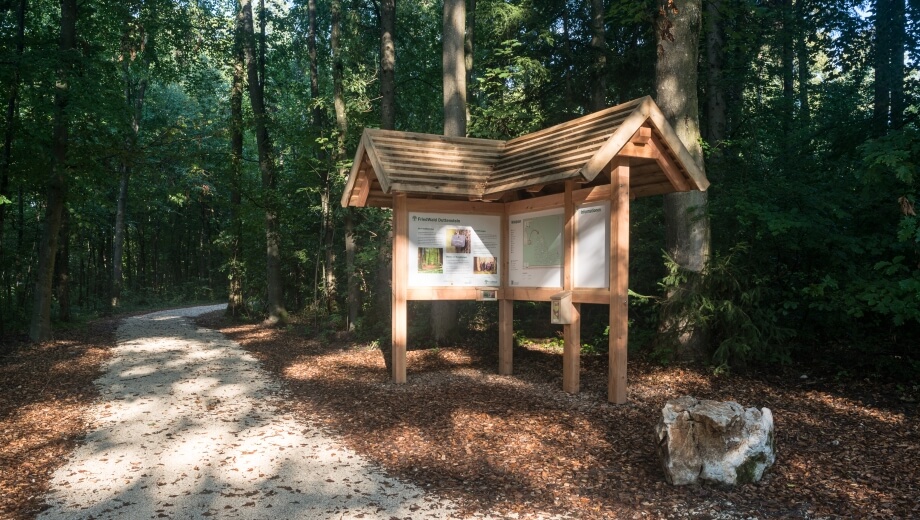 Am Eingang zum FriedWald Duttenstein steht die Infotafel - sie gibt einen Überblick über das Konzept und den Wald.