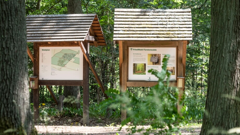 Die Infotafel gibt einen Überblick über den Wald und das FriedWald-Konzept.