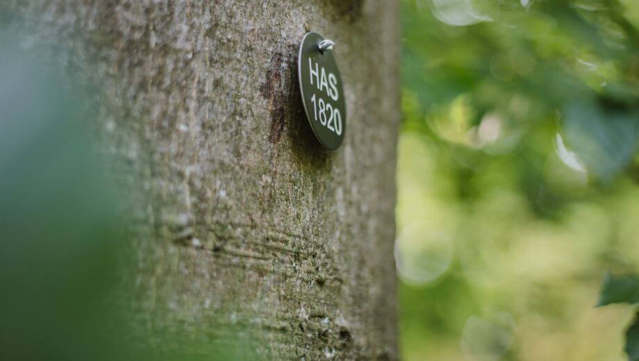 Eine Baumnummer kennzeichnet die Bestattungsbäume.