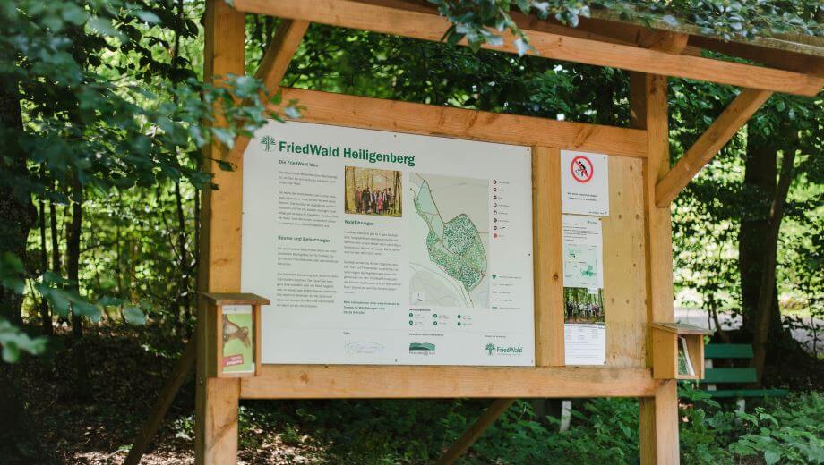 Die Infotafel am FriedWald Heiligenberg gibt einen ersten Überblick über den Wald.