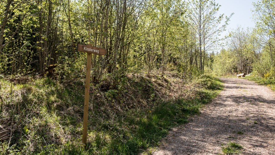 Die Hauptwege im FriedWald Lenzkirch-Grünwald sind gut begehbar.