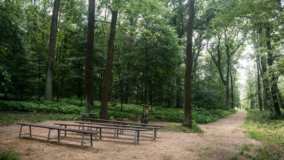 Auch im Wald gibt es einen Andachtsplatz für Trauerfeiern unter freiem Himmel.