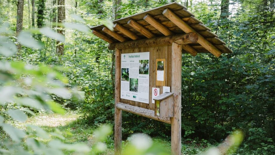 Die Infotafel im FriedWald Meßkirch bietet einen ersten Überblick über den Wald und das Konzept.