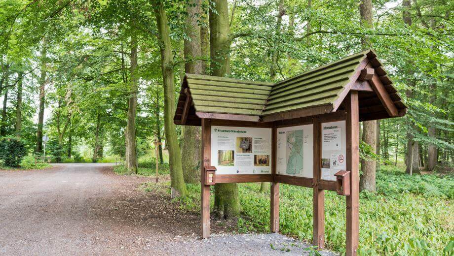Die Infotafel im FriedWald Münsterland gibt einen Überblick über den Wald und das Konzept.