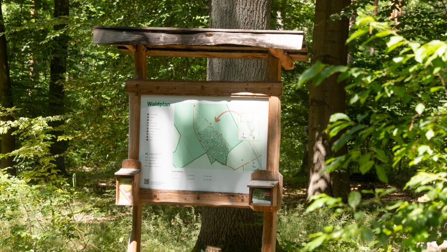 Der Waldplan hilft bei der Orientierung im Wald.