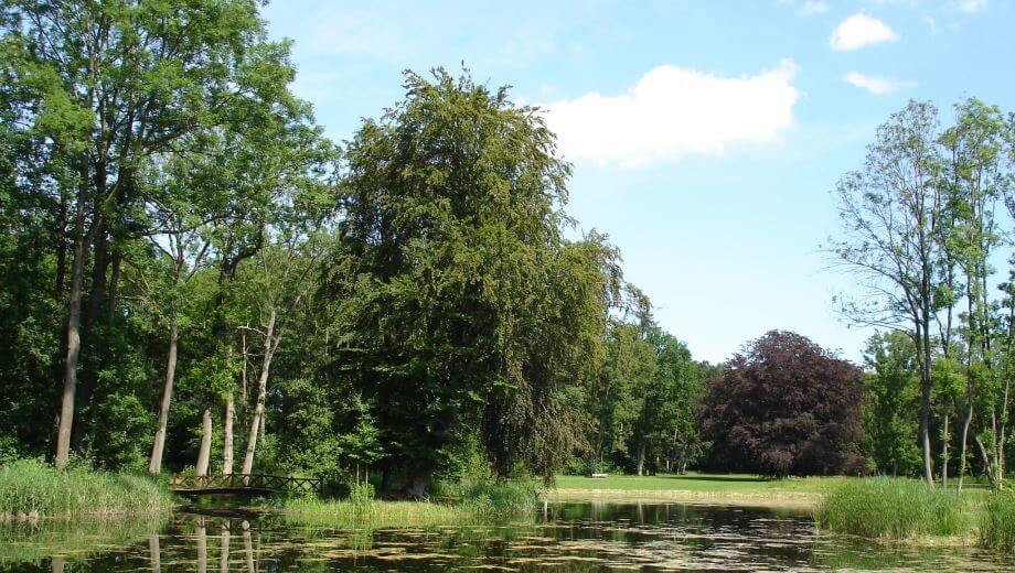 Im Schlosspark Pansevitz gibt es einen idyllischen See.