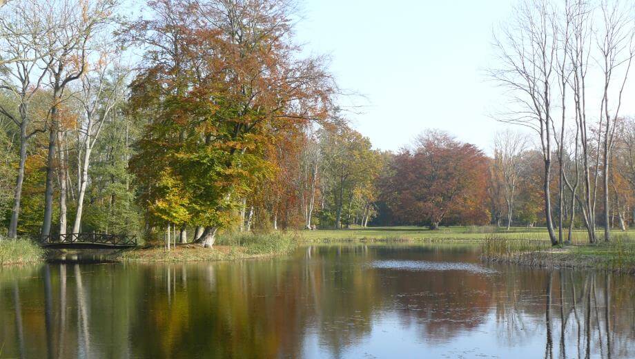 Im Herbst spiegelt sich ein buntes Farbenspiel im Gewässer des Schlossparks Pansevitz.
