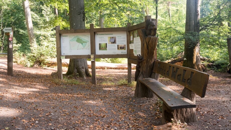 Am Eingang zum FriedWald begrüßen Eichhörnchen die Besucher - der Waldplan hilft bei der Orientierung.