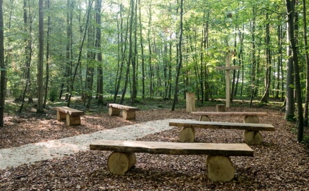 Der mit Holzkreuz und Bänken ausgestattete Andachtsplatz ist der zentrale Ort des Erinnerns und Gedenkens im FriedWald Duttenstein